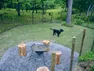 Co-Ownersイメージ サムネイル