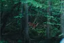 Co-Ownersイメージ サムネイル