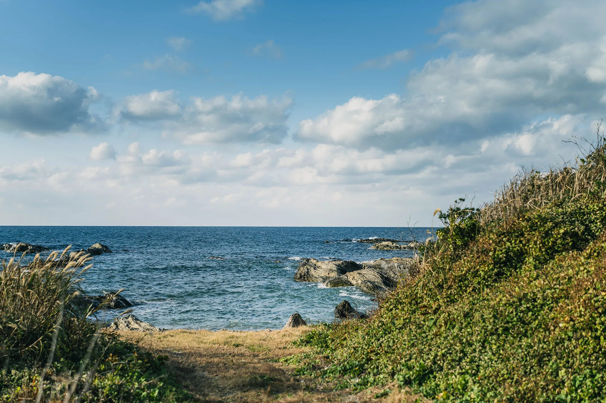 A letter from SANU vol.60｜海と土をめぐる、初夏の営み