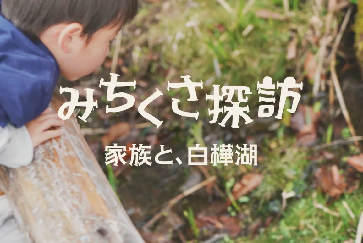 みちくさ探訪　家族と白樺湖