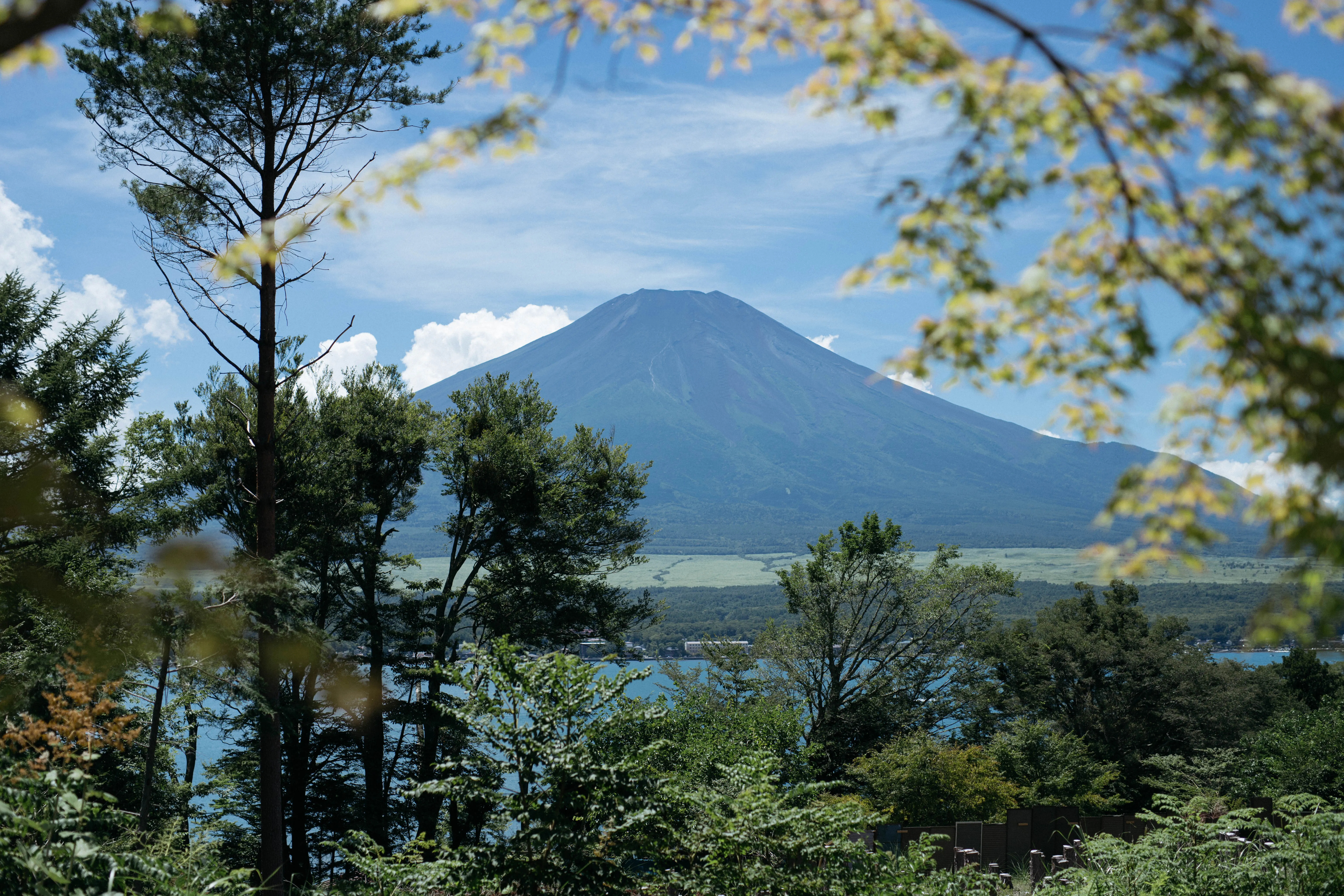 湖と森と、富士山と。山中湖で過ごす3日間