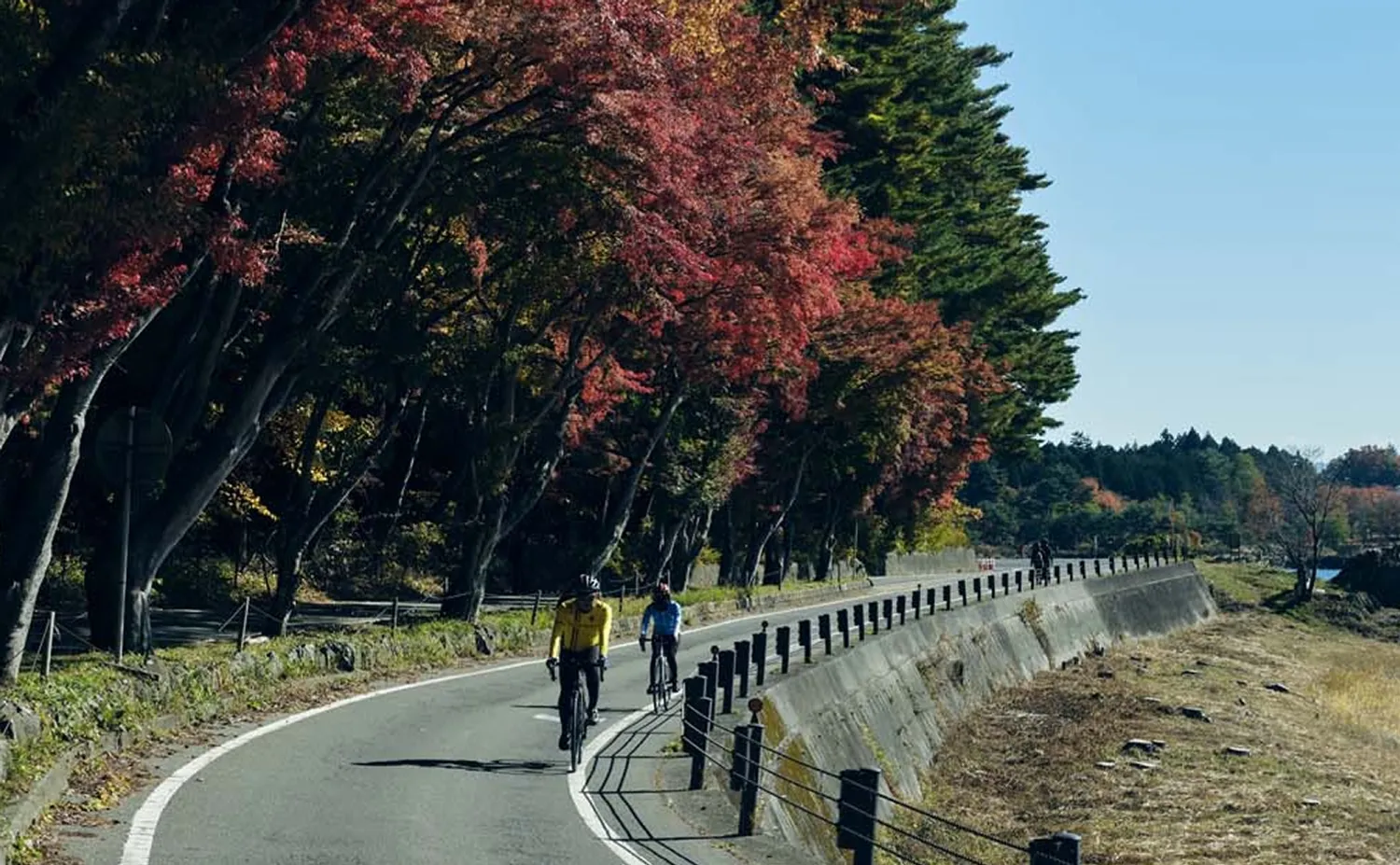 紅葉豊かなサイクリングの名所、産屋ヶ崎の景色