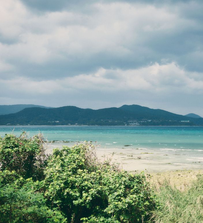 奄美大島