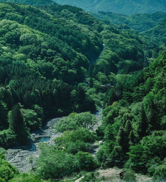 八ヶ岳