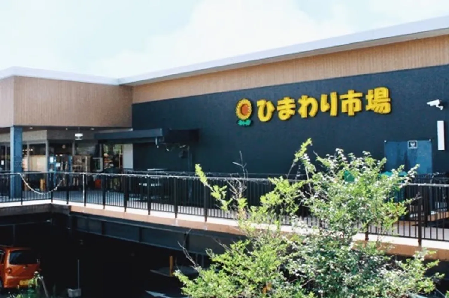 旬の食材が集まるひまわり市場の彩り豊かな売場