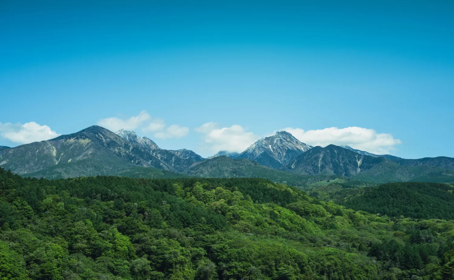 青空と針葉樹の森が織りなす八ヶ岳の絶景