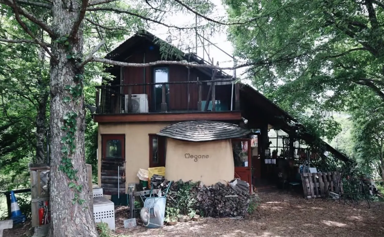 旬の食材が集まるひまわり市場の彩り豊かな売場