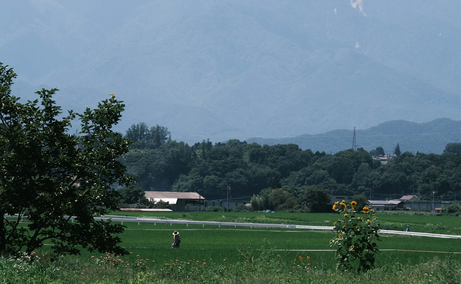 山と田園風景 北杜らしい景色