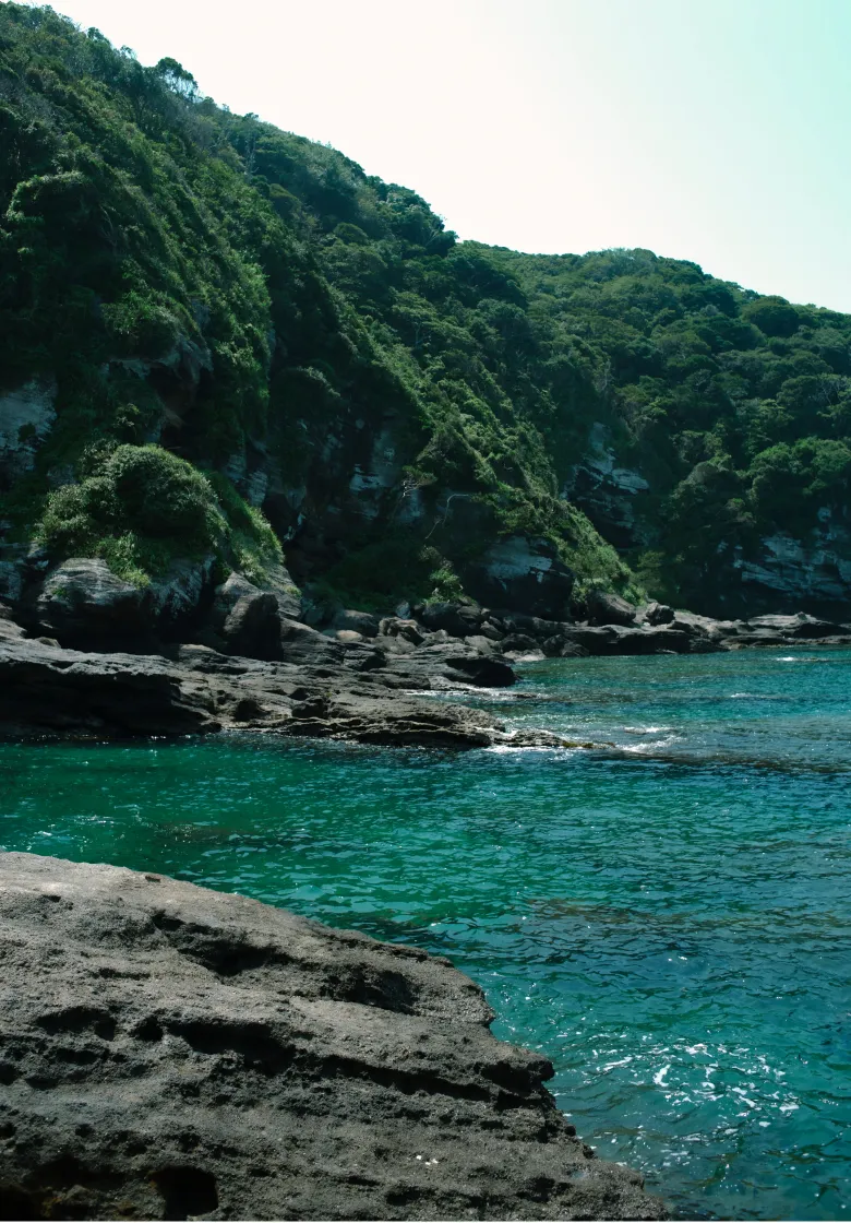 館山