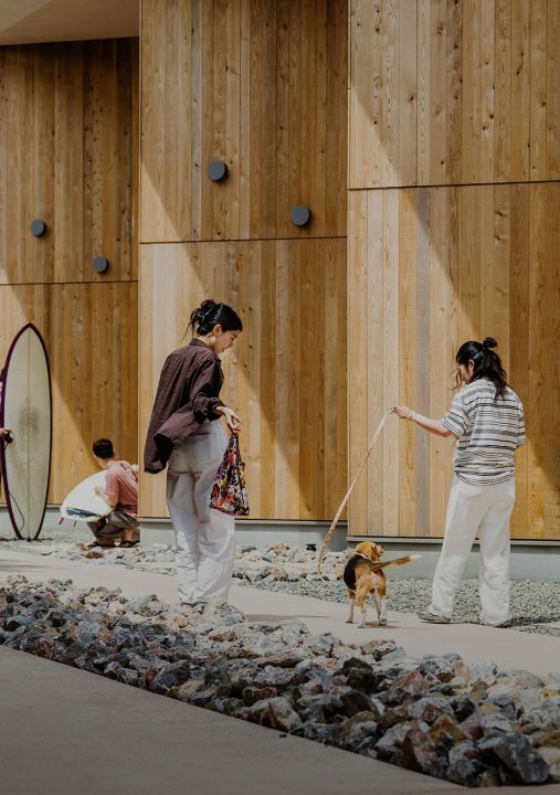 春は一宮で、愛犬と散歩する