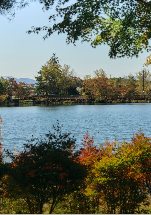 秋は蓼科湖で、紅葉に染まる