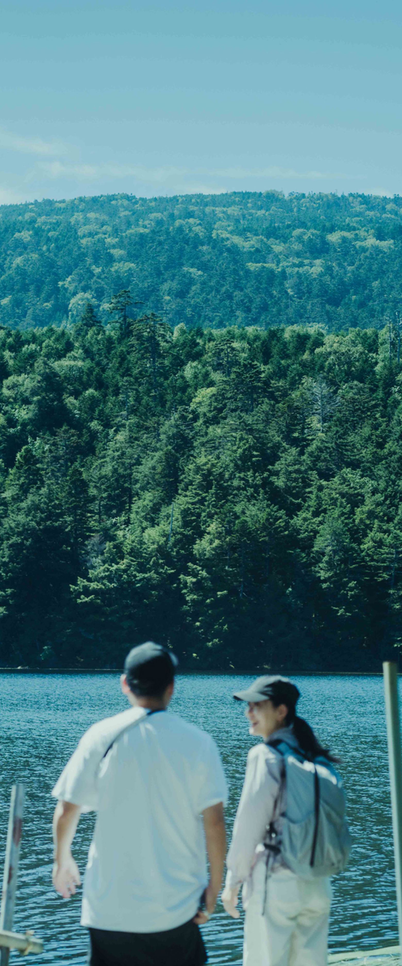 背景