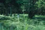 Co-Ownersイメージ サムネイル