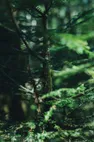 Co-Ownersイメージ サムネイル