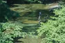 Co-Ownersイメージ サムネイル