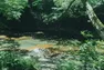 Co-Ownersイメージ サムネイル