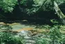 Co-Ownersイメージ サムネイル