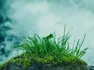 Co-Ownersイメージ サムネイル