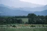 Co-Ownersイメージ サムネイル