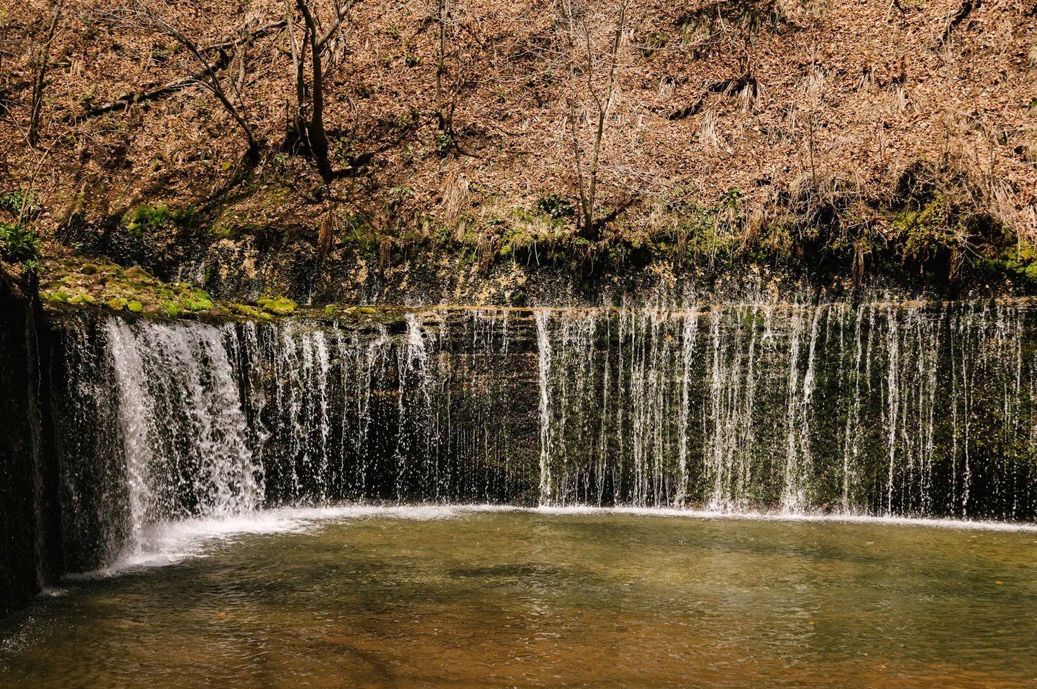 自然が生み出した湾曲が美しい白糸の滝