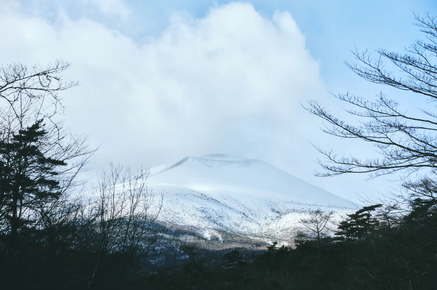 冬には真っ白に雪化粧した浅間山を望める