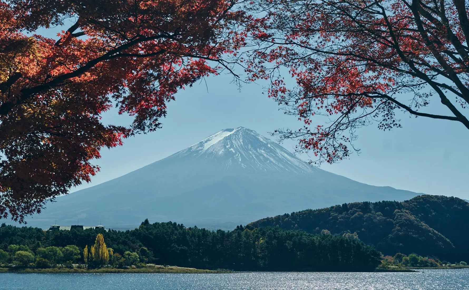 四季を映す、富士のふもと