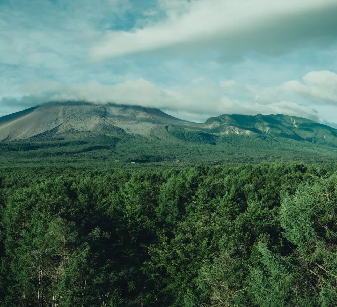 ロケーション