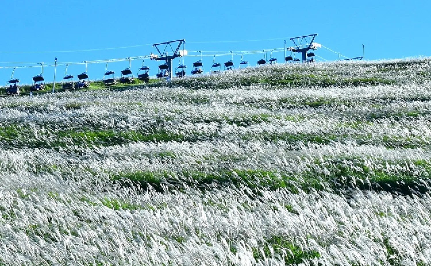 大室山。季節ごとに山肌の色が移り変わる。