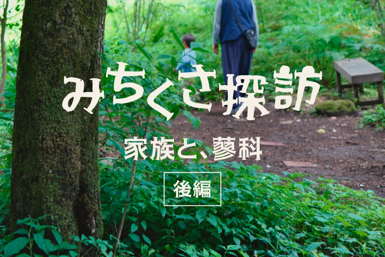 みちくさ探訪　森と湖に包まれて。蓼科で過ごす、家族じかん（後編）