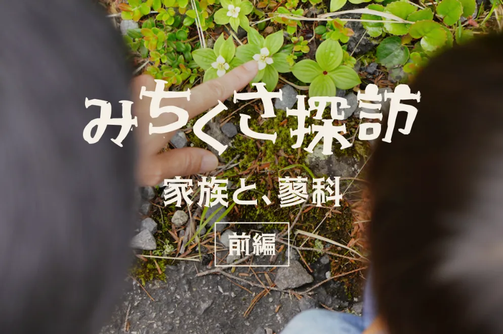 みちくさ探訪　森と湖に包まれて。蓼科で過ごす、家族じかん（前編）