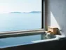 Co-Ownersイメージ サムネイル