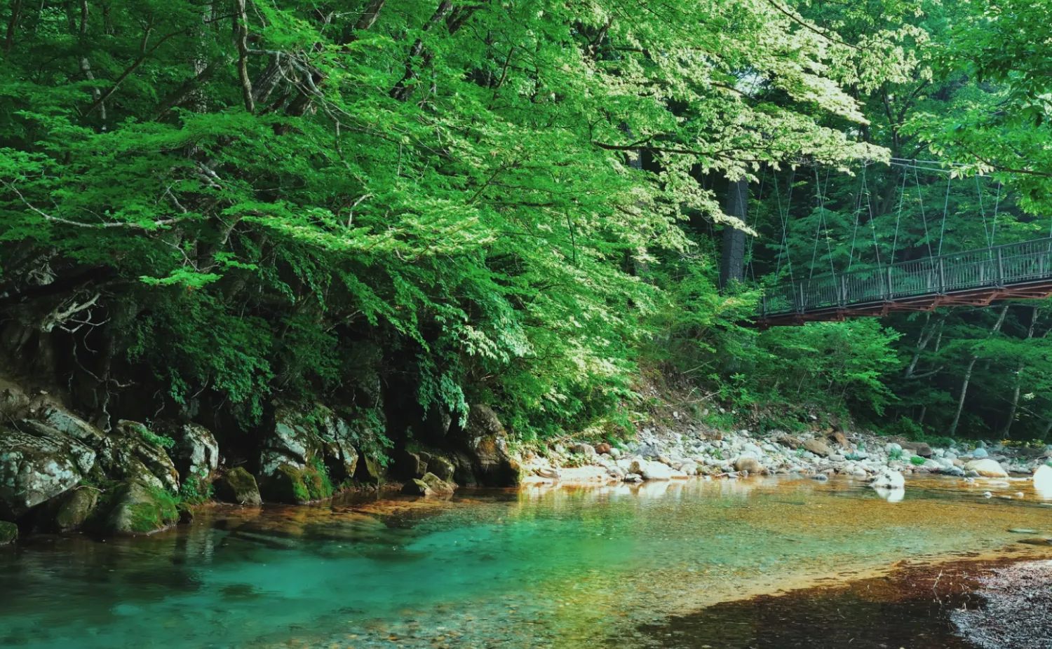 清流が流れる木の俣渓谷