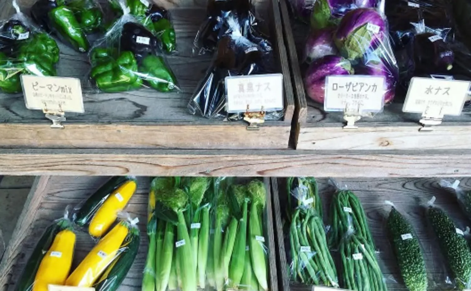 無農薬にこだわる成澤菜園の採れたて野菜