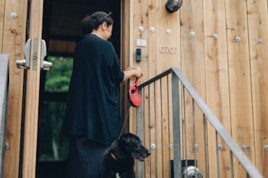 Dog Friendlyのルールの画像1