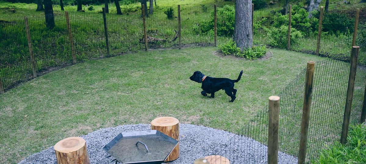 Dog Run
