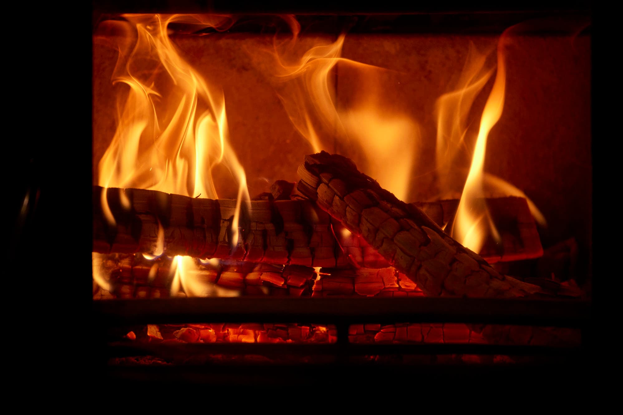 ドッグフレンドリー(15枚目)